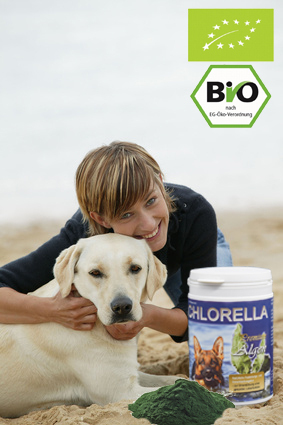 CHLORELLA Premium Algen BIO für Hunde / 150g Pulver