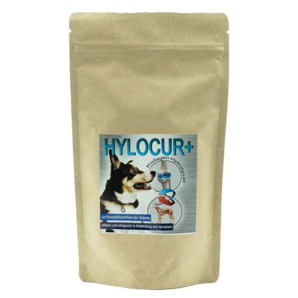 HYLOCUR+ für Hunde zur Gesunderhaltung belasteter Gelenke 200g