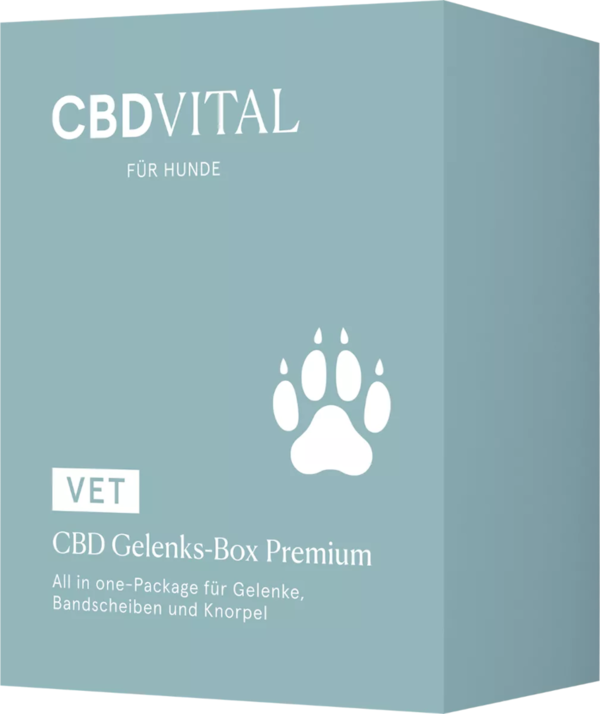 CBD Gelenks-Box Premium / Set
