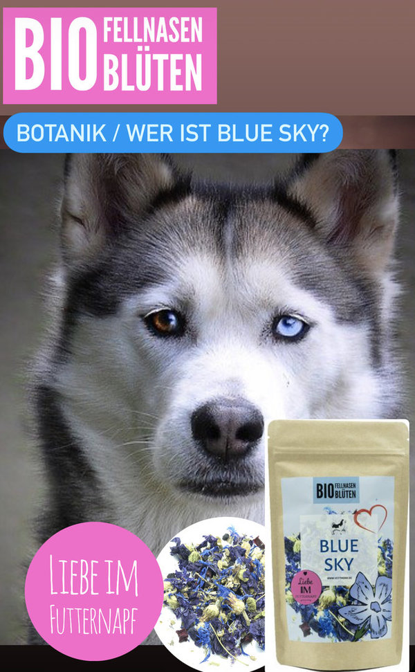 BLUE SKY - Fellnasenblüten Bio / 50g