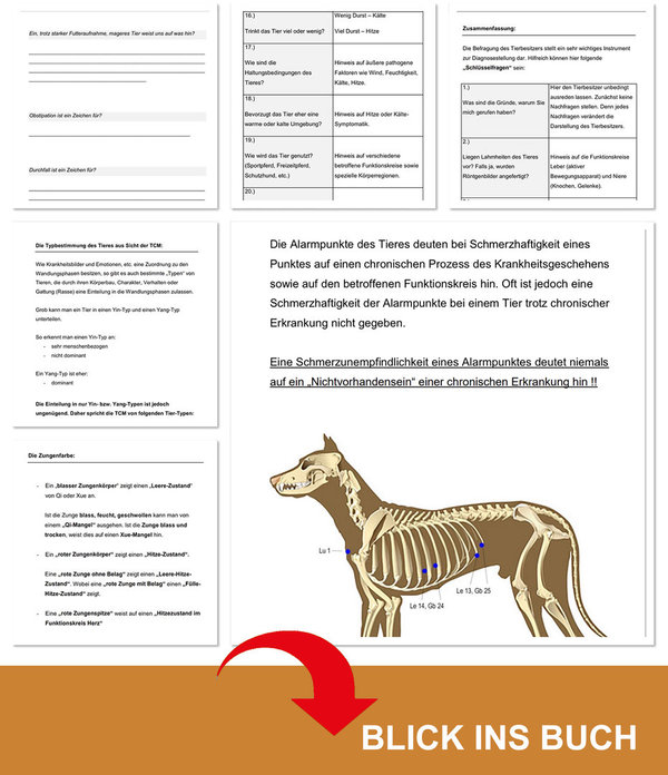 Akupunktur TCM Veterinär - PRAXIS HUND / Lern- und Arbeitsbuch Diagnose / Untersuchungsgang