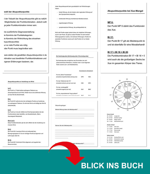 Akupunktur TCM Veterinär - PRAXIS PFERD Lern- und Arbeitsbuch / Konzepte - Kombinationen - Techniken