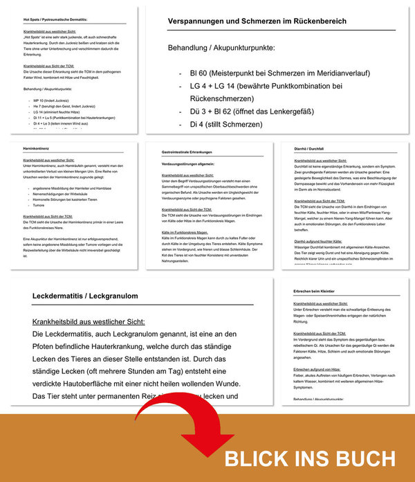 Akupunktur TCM Veterinär - PRAXIS HUND/ Lern- und Arbeitsbuch / Krankheitsbilder - Syndrome